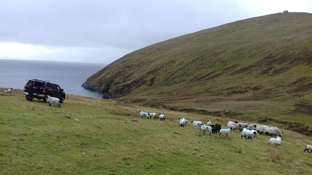 Bed and Breakfast Achill West Coast House Dooagh Zewnętrze zdjęcie