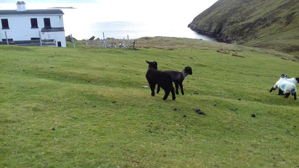 Bed and Breakfast Achill West Coast House Dooagh Zewnętrze zdjęcie